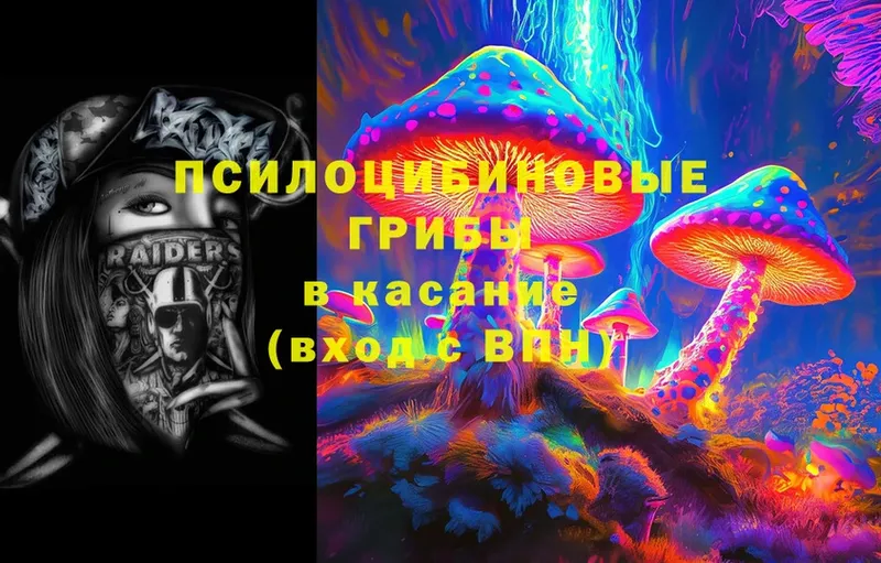 Псилоцибиновые грибы Magic Shrooms  Алагир 